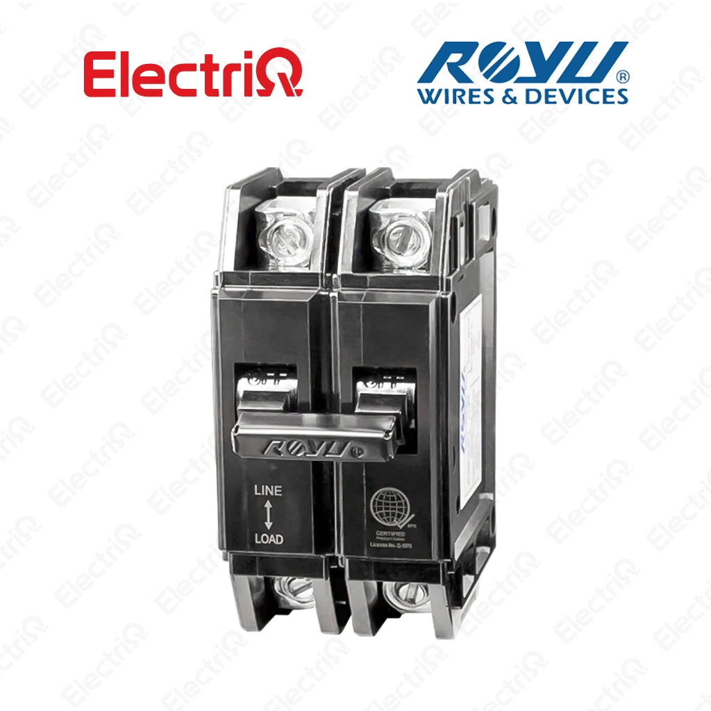 Electriq Royu Lug Type Plug-In Circuit Breaker 2-Pole 100A  Metal Cap Heavy Duty