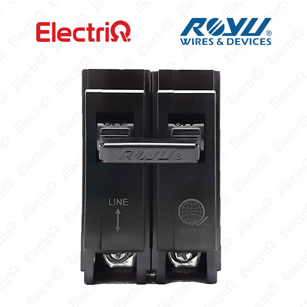 Electriq Royu Lug Type Plug-In Circuit Breaker 2-Pole 100A  Metal Cap Heavy Duty