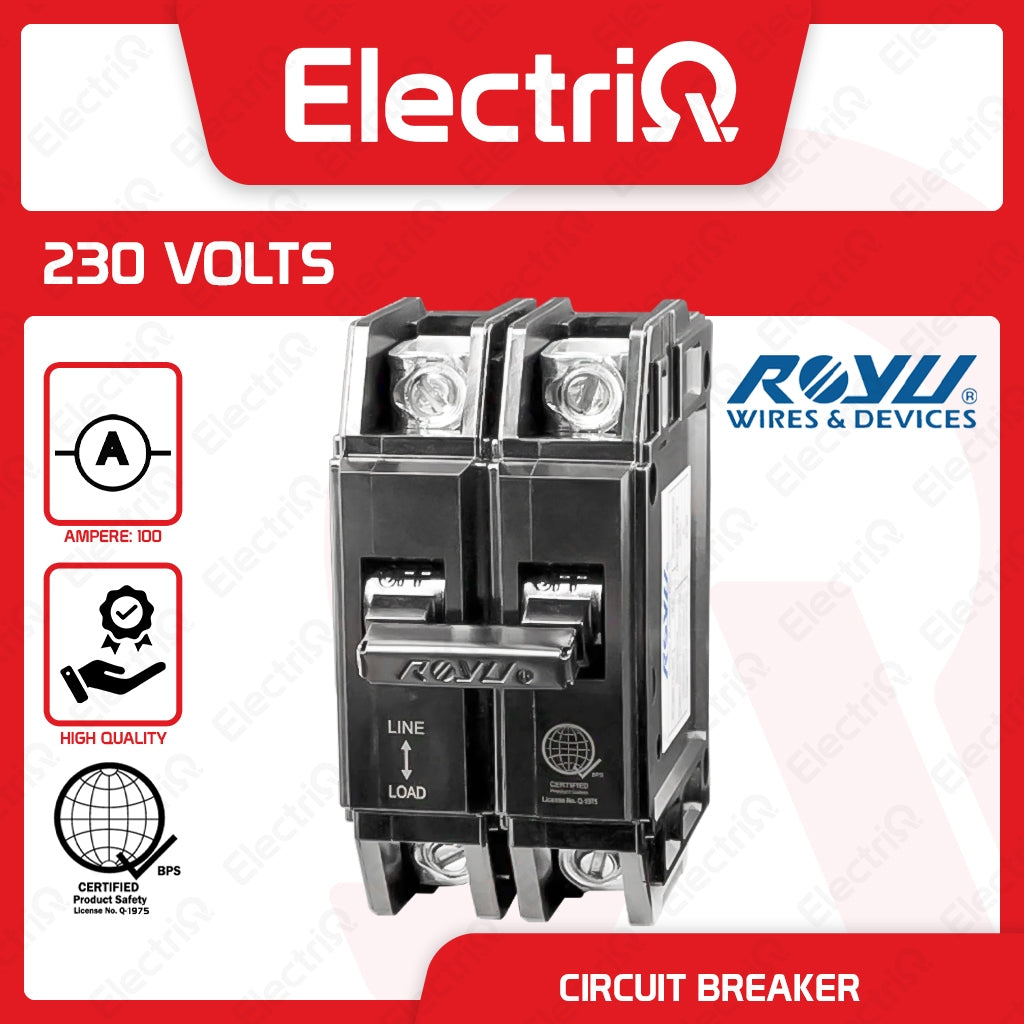 Electriq Royu Lug Type Plug-In Circuit Breaker 2-Pole 100A  Metal Cap Heavy Duty