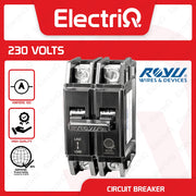 Electriq Royu Lug Type Plug-In Circuit Breaker 2-Pole 100A  Metal Cap Heavy Duty